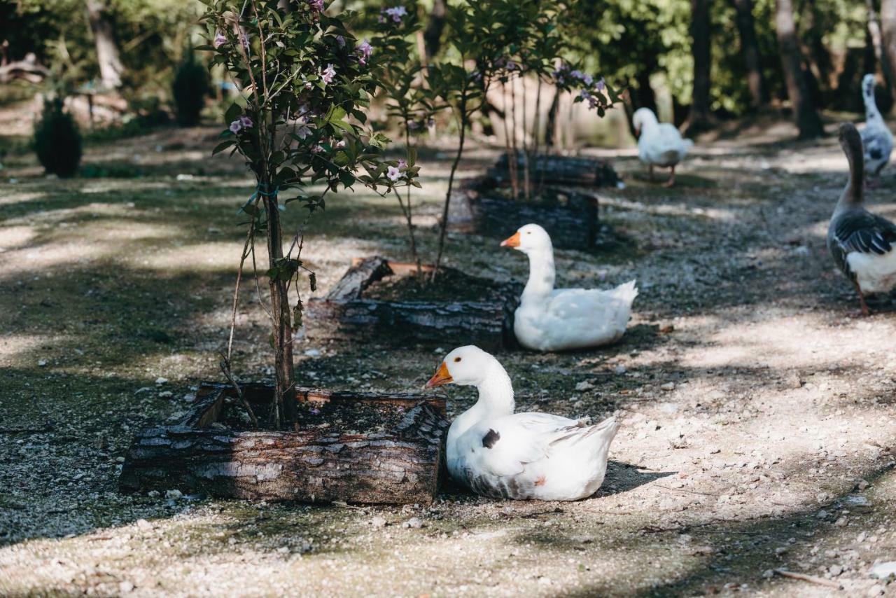 Hotel Kostelski Buk Bihać Dış mekan fotoğraf