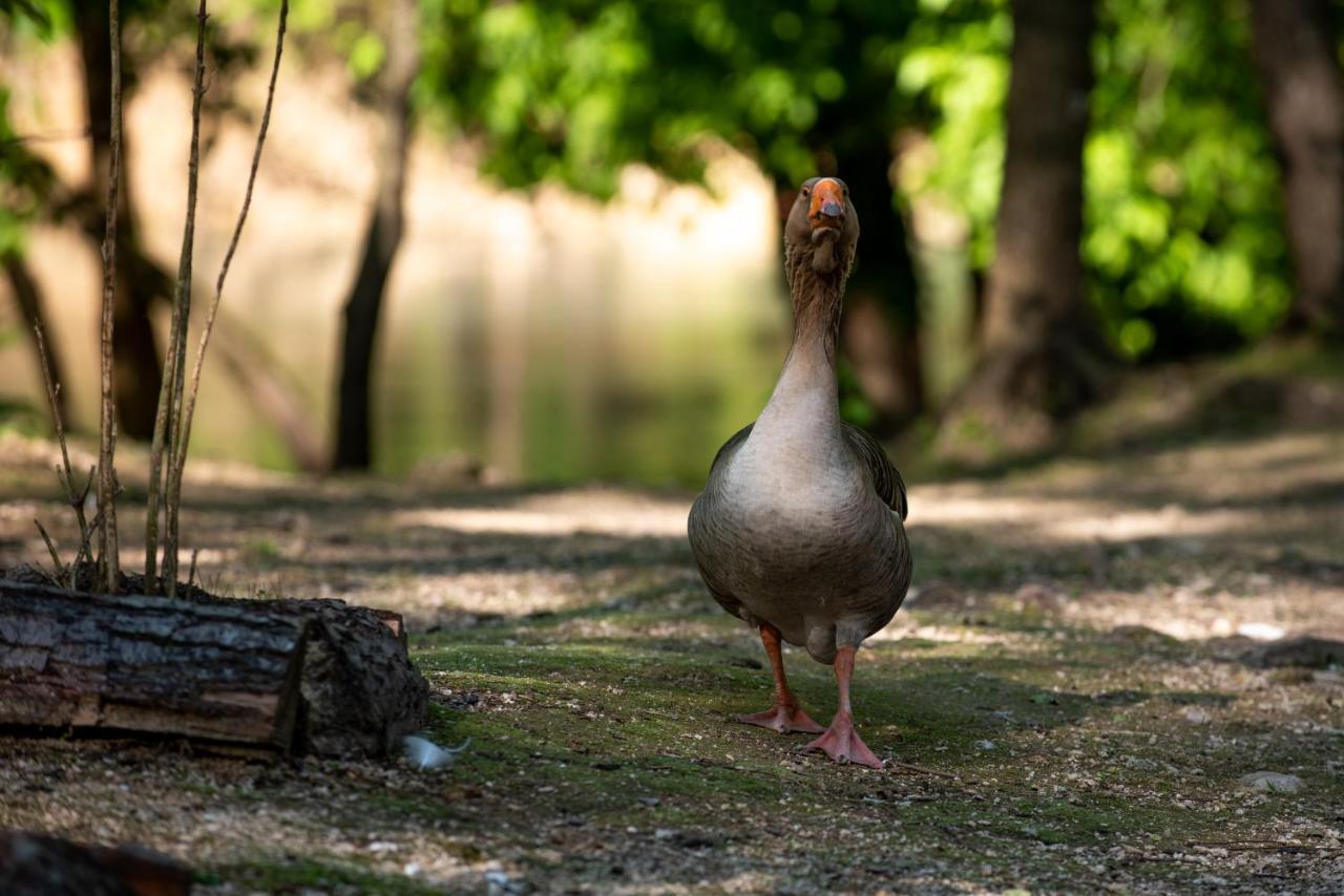 Hotel Kostelski Buk Bihać Dış mekan fotoğraf